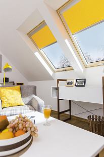 Объект из Энергосберегающие модели Thermo Fakro FTT U8 THERMO